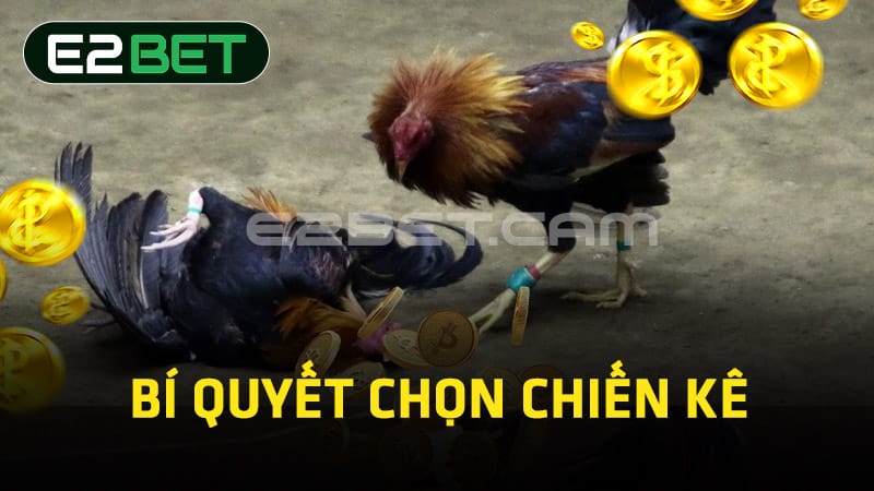 Bí quyết chọn chiến kê