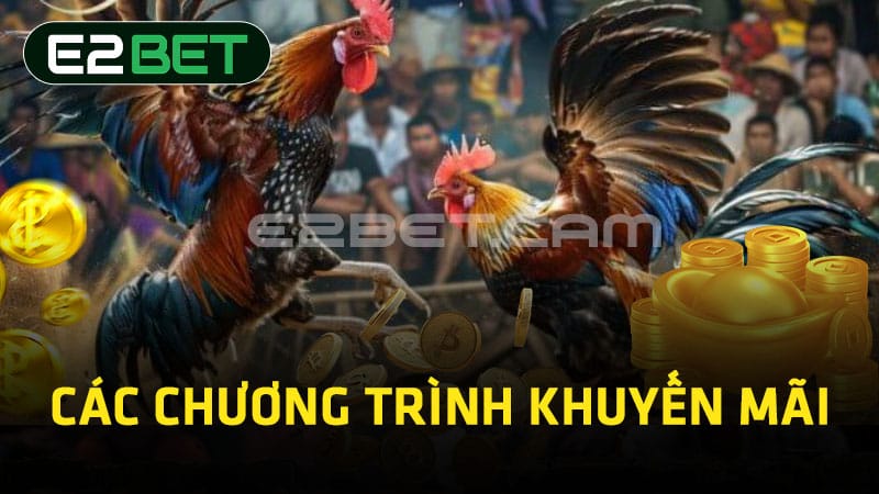 Các chương trình khuyến mãi