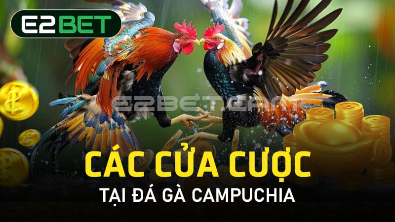 Các cửa cược tại đá gà Campuchia 