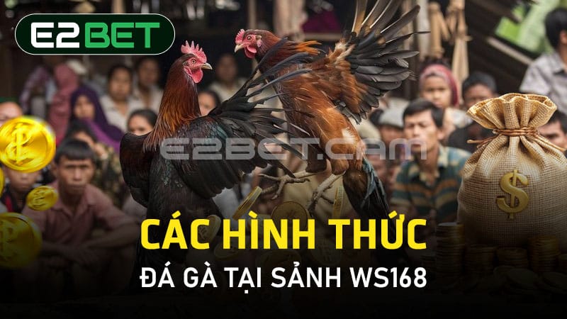 Các hình thức đá gà tại sảnh WS168