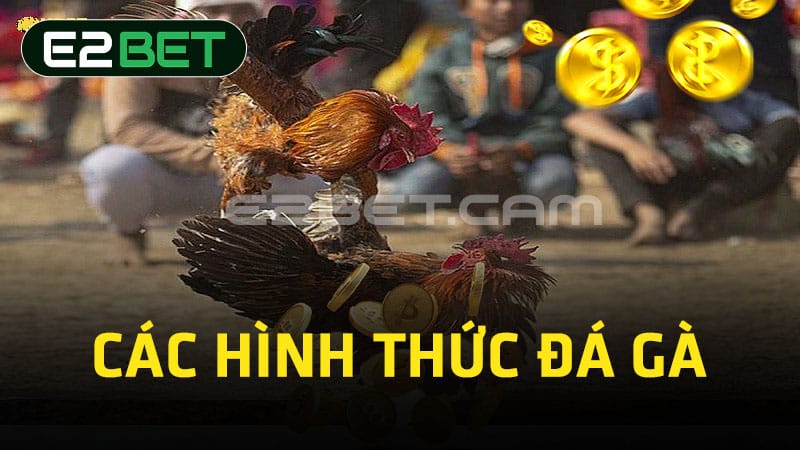 Các hình thức đá gà 