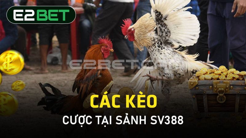 Các kèo cược tại sảnh SV388