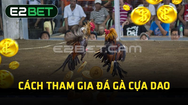 Cách tham gia đá gà cựa dao 