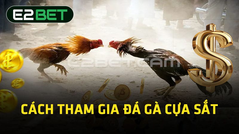 Cách tham gia đá gà cựa sắt 