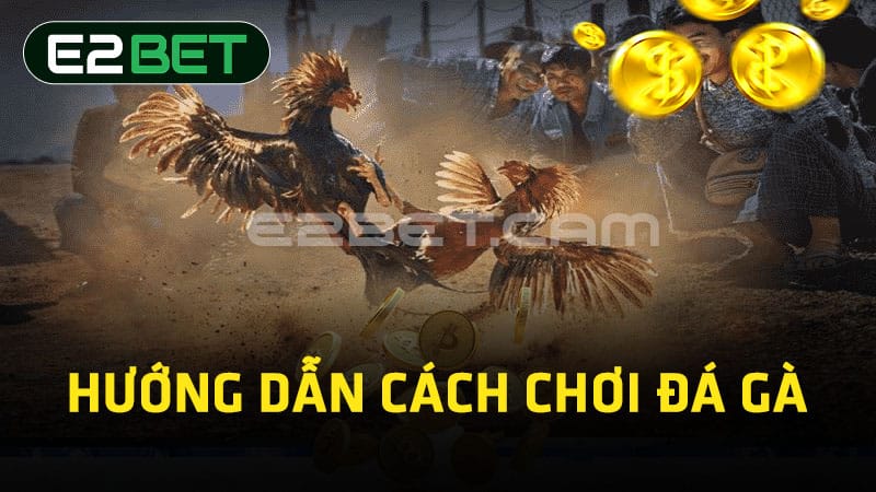 Hướng dẫn cách chơi đá gà 