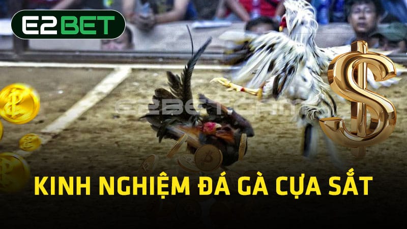 Kinh nghiệm đá gà cựa sắt