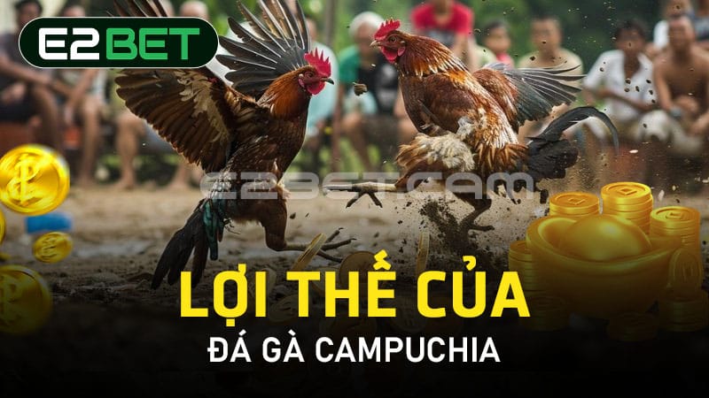 Lợi thế của đá gà Campuchia