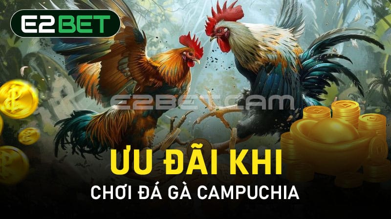 Ưu đãi khi chơi đá gà Campuchia 